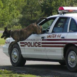 Police Lead - Tactical