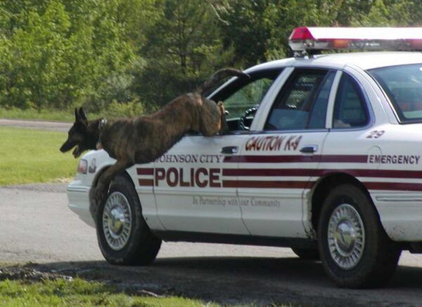 Police Lead - Tactical
